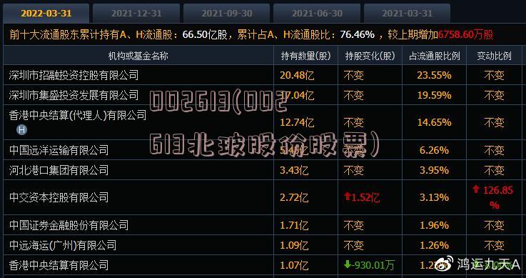 002613(002613北玻股份股票)