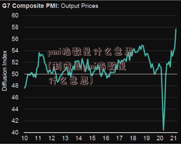 pmi指数是什么意思(制造业pmi指数是什么意思)