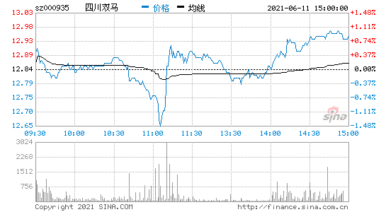 四川双马(四川双马股票行情)