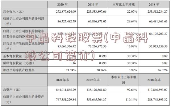 中晶科技股票(中晶科技公司简介)