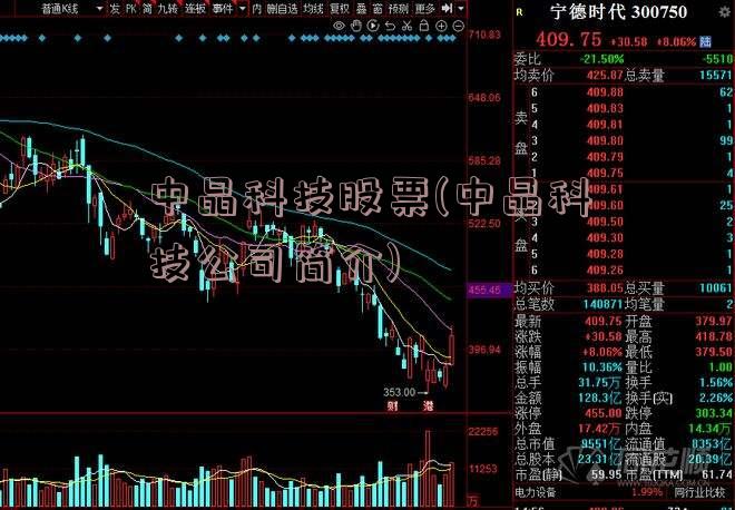 中晶科技股票(中晶科技公司简介)