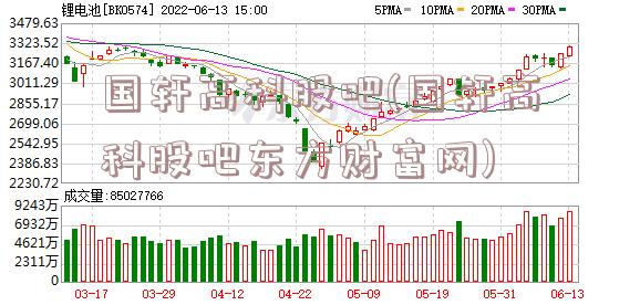 国轩高科股吧(国轩高科股吧东方财富网)