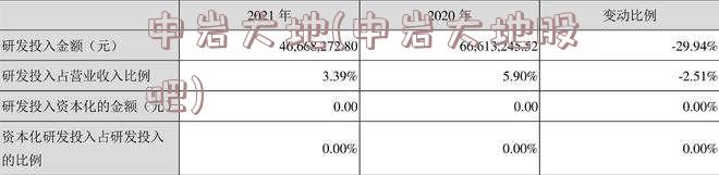 中岩大地(中岩大地股吧)