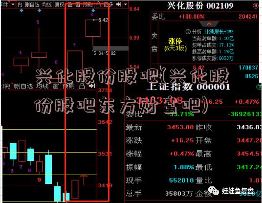 兴化股份股吧(兴化股份股吧东方财富吧)