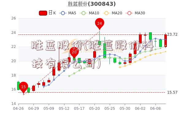 胜蓝股份(胜蓝股份科技有限公司)