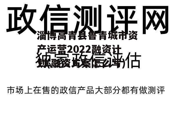 淄博高青县鲁青城市资产运营2022融资计划(融资方案怎么写)