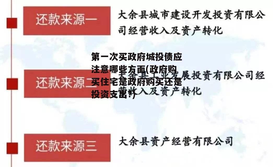 第一次买政府城投债应注意哪些方面(政府购买住宅是政府购买还是投资支出?)