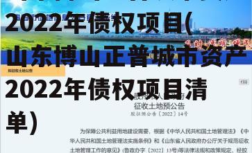 山东博山正普城市资产2022年债权项目(山东博山正普城市资产2022年债权项目清单)