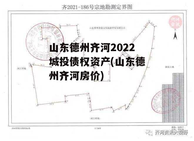 山东德州齐河2022城投债权资产(山东德州齐河房价)