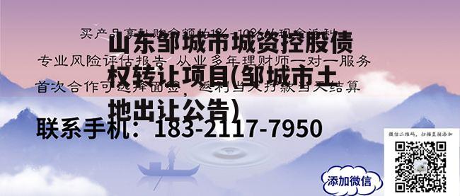 山东邹城市城资控股债权转让项目(邹城市土地出让公告)