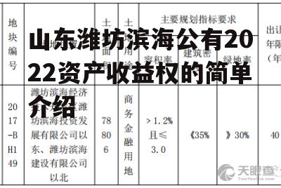 山东潍坊滨海公有2022资产收益权的简单介绍