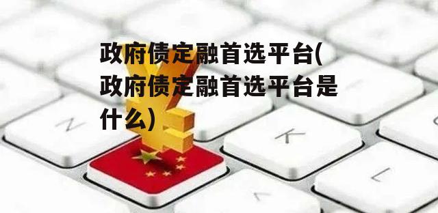 政府债定融首选平台(政府债定融首选平台是什么)