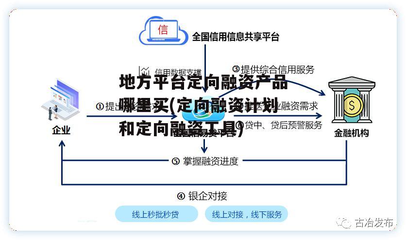 地方平台定向融资产品哪里买(定向融资计划和定向融资工具)