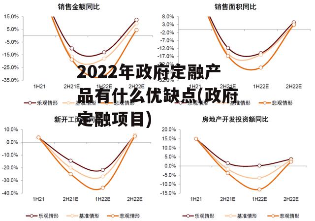 2022年政府定融产品有什么优缺点(政府定融项目)