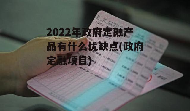 2022年政府定融产品有什么优缺点(政府定融项目)