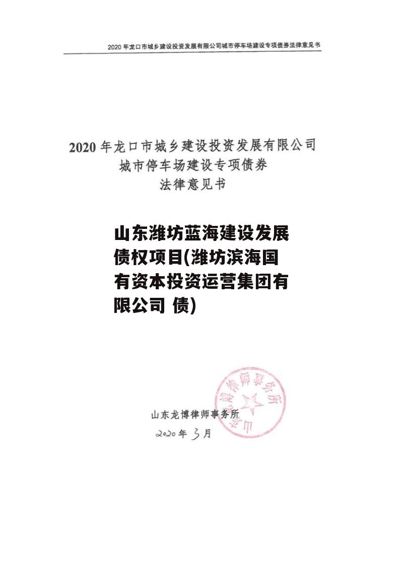 山东潍坊蓝海建设发展债权项目(潍坊滨海国有资本投资运营集团有限公司 债)