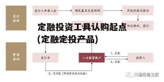 定融投资工具认购起点(定融定投产品)