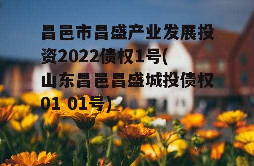 昌邑市昌盛产业发展投资2022债权1号(山东昌邑昌盛城投债权01 01号)