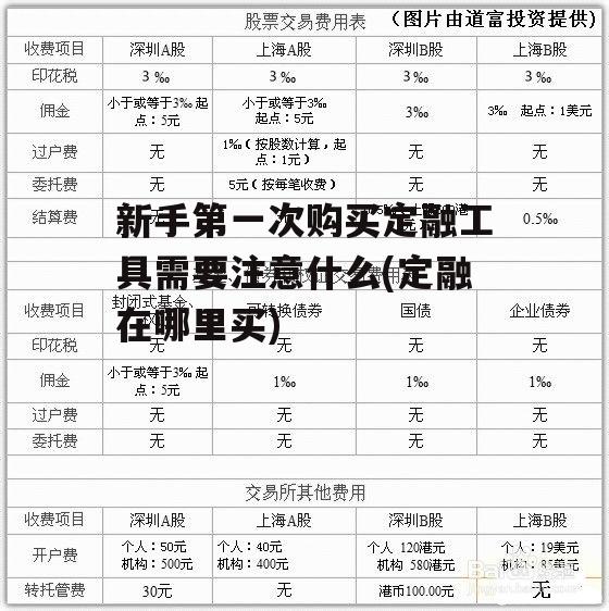 新手第一次购买定融工具需要注意什么(定融在哪里买)