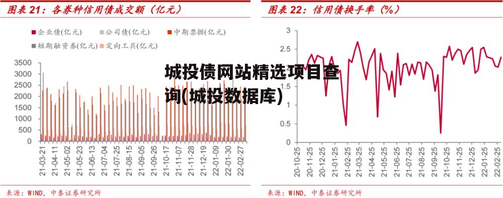 城投债网站精选项目查询(城投数据库)