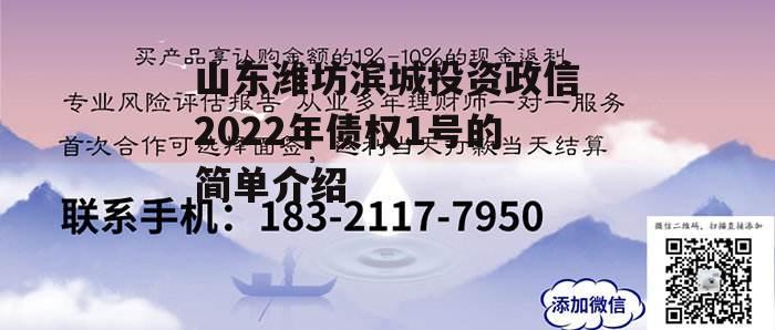 山东潍坊滨城投资政信2022年债权1号的简单介绍