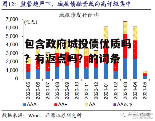 包含政府城投债优质吗？有返点吗？的词条