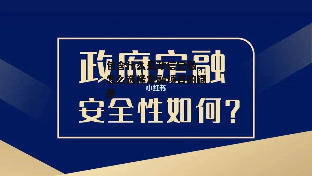 包含什么是政信定融，怎么选择定融项目的词条