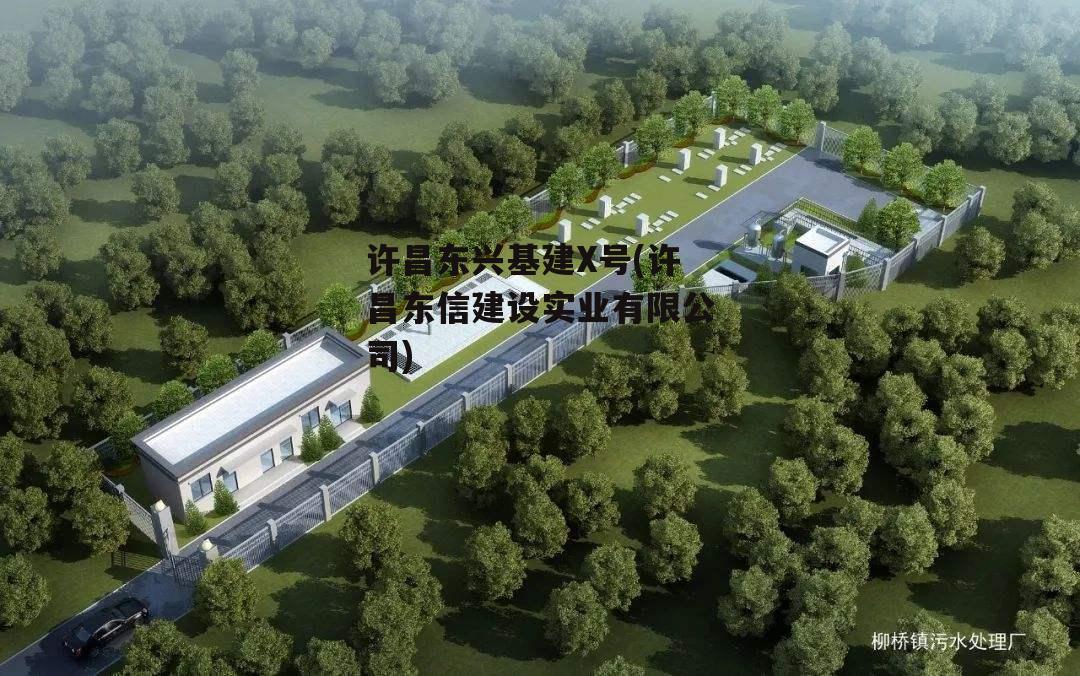 许昌东兴基建X号(许昌东信建设实业有限公司)