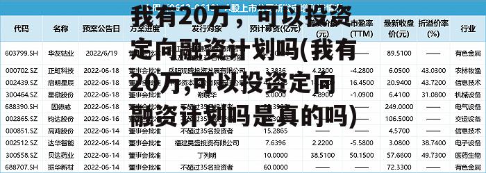 我有20万，可以投资定向融资计划吗(我有20万,可以投资定向融资计划吗是真的吗)