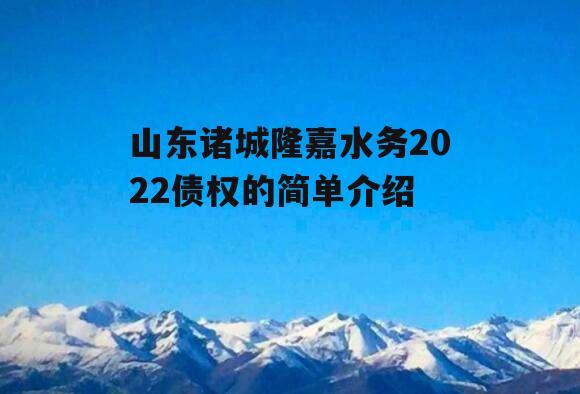 山东诸城隆嘉水务2022债权的简单介绍