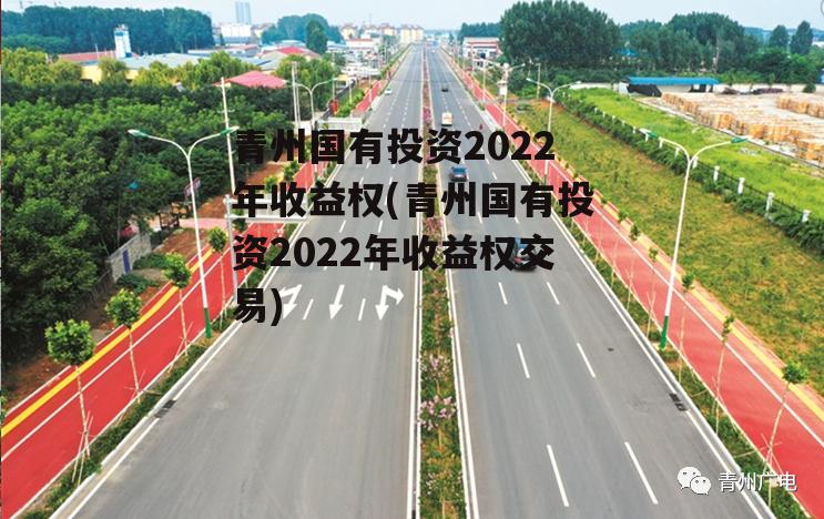 青州国有投资2022年收益权(青州国有投资2022年收益权交易)