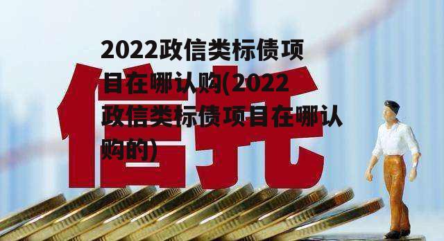 2022政信类标债项目在哪认购(2022政信类标债项目在哪认购的)