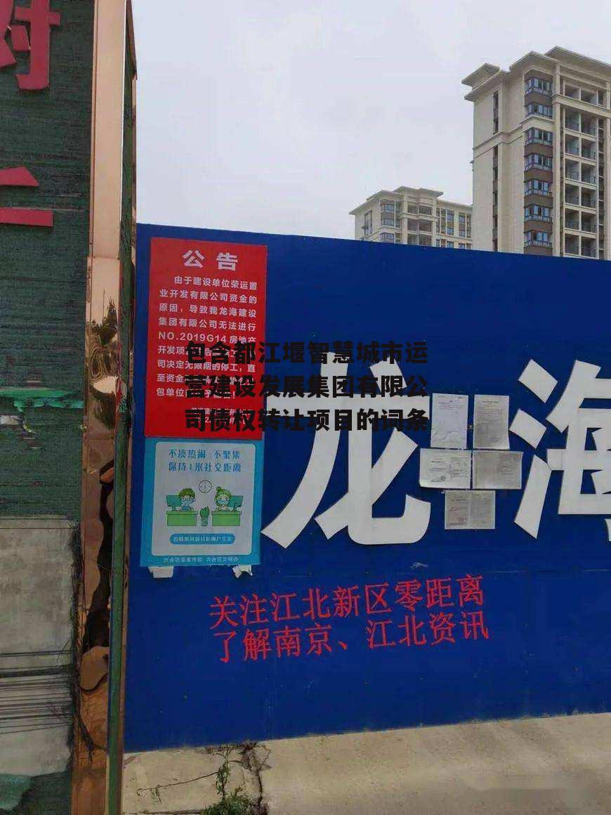 包含都江堰智慧城市运营建设发展集团有限公司债权转让项目的词条