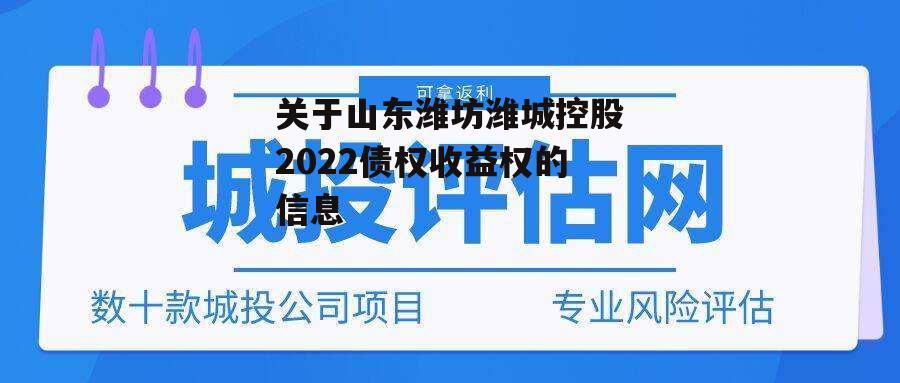 关于山东潍坊潍城控股2022债权收益权的信息