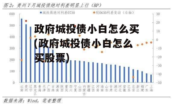 政府城投债小白怎么买(政府城投债小白怎么买股票)