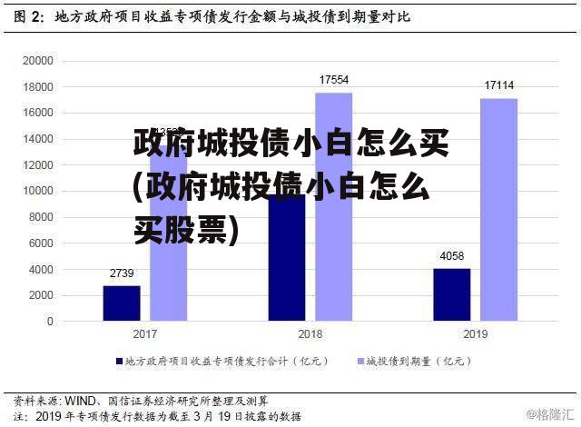 政府城投债小白怎么买(政府城投债小白怎么买股票)