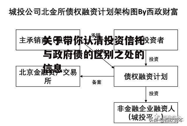 关于带你认清投资信托与政府债的区别之处的信息