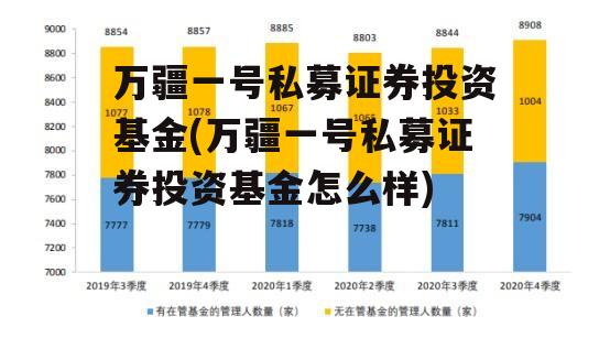 万疆一号私募证券投资基金(万疆一号私募证券投资基金怎么样)