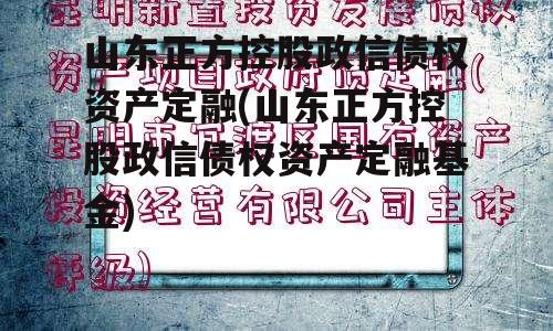 山东正方控股政信债权资产定融(山东正方控股政信债权资产定融基金)