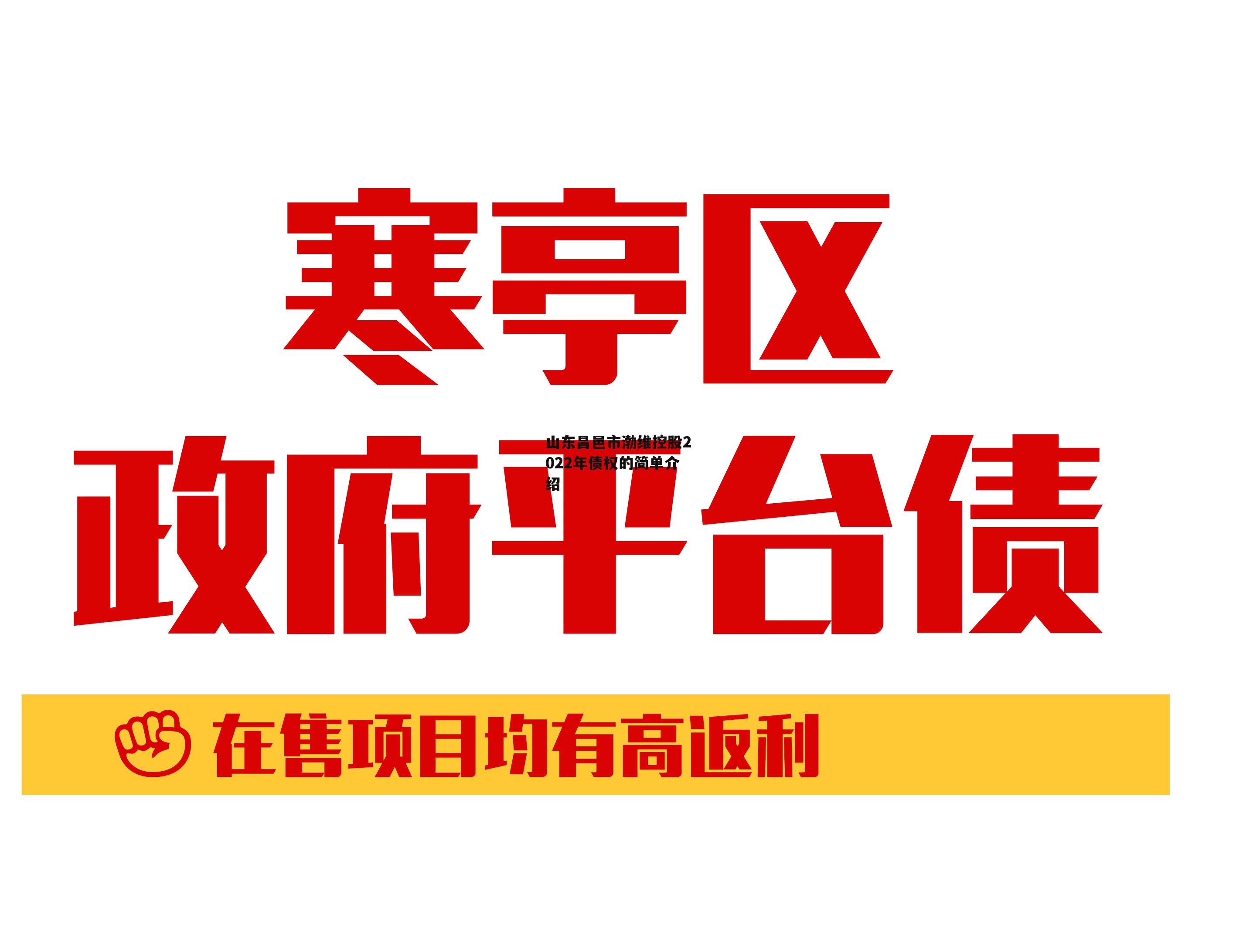 山东昌邑市渤维控股2022年债权的简单介绍