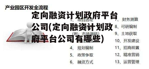 定向融资计划政府平台公司(定向融资计划政府平台公司有哪些)