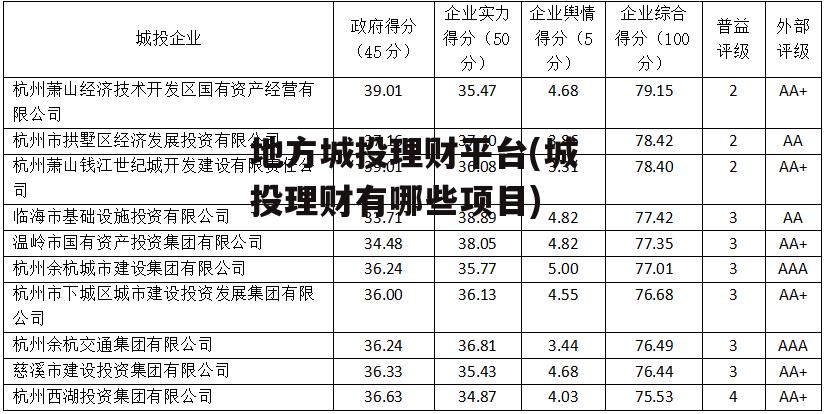 地方城投理财平台(城投理财有哪些项目)