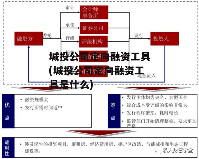 城投公司定向融资工具(城投公司定向融资工具是什么)