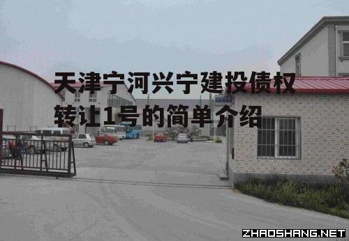 天津宁河兴宁建投债权转让1号的简单介绍