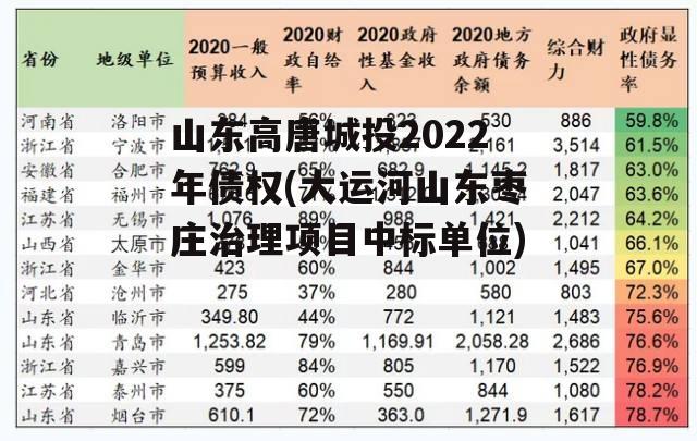 山东高唐城投2022年债权(大运河山东枣庄治理项目中标单位)