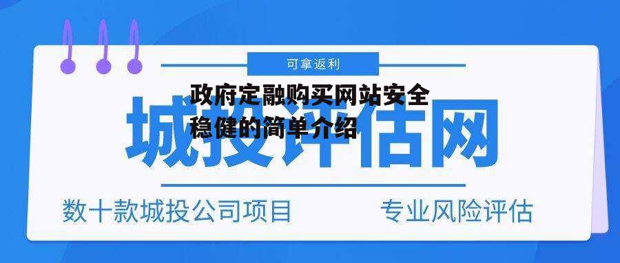 政府定融购买网站安全稳健的简单介绍