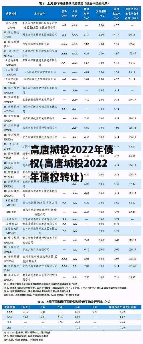 高唐城投2022年债权(高唐城投2022年债权转让)