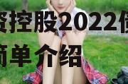 惠民16号-潍坊潍州投资控股2022债权的简单介绍