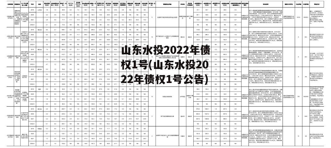 山东水投2022年债权1号(山东水投2022年债权1号公告)