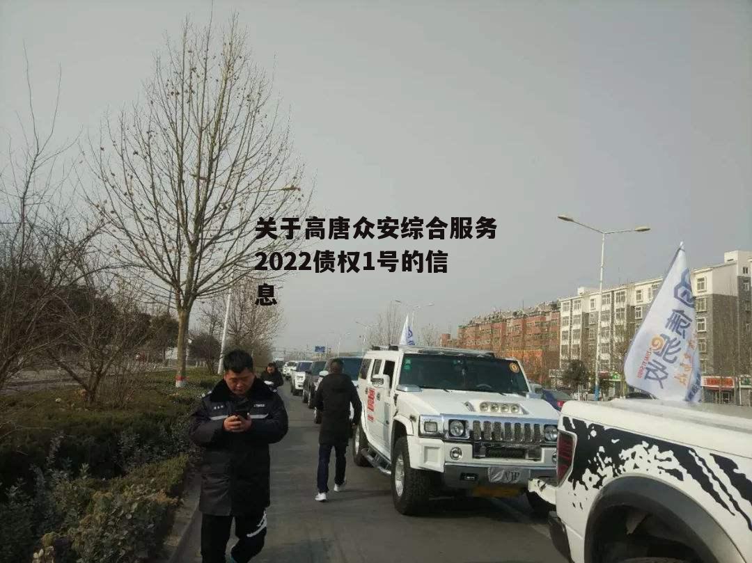 关于高唐众安综合服务2022债权1号的信息